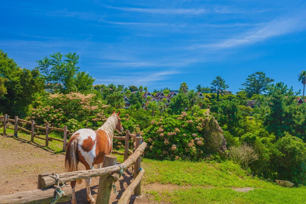 Jungmun Log Pension & Resort Согвіпо Екстер'єр фото