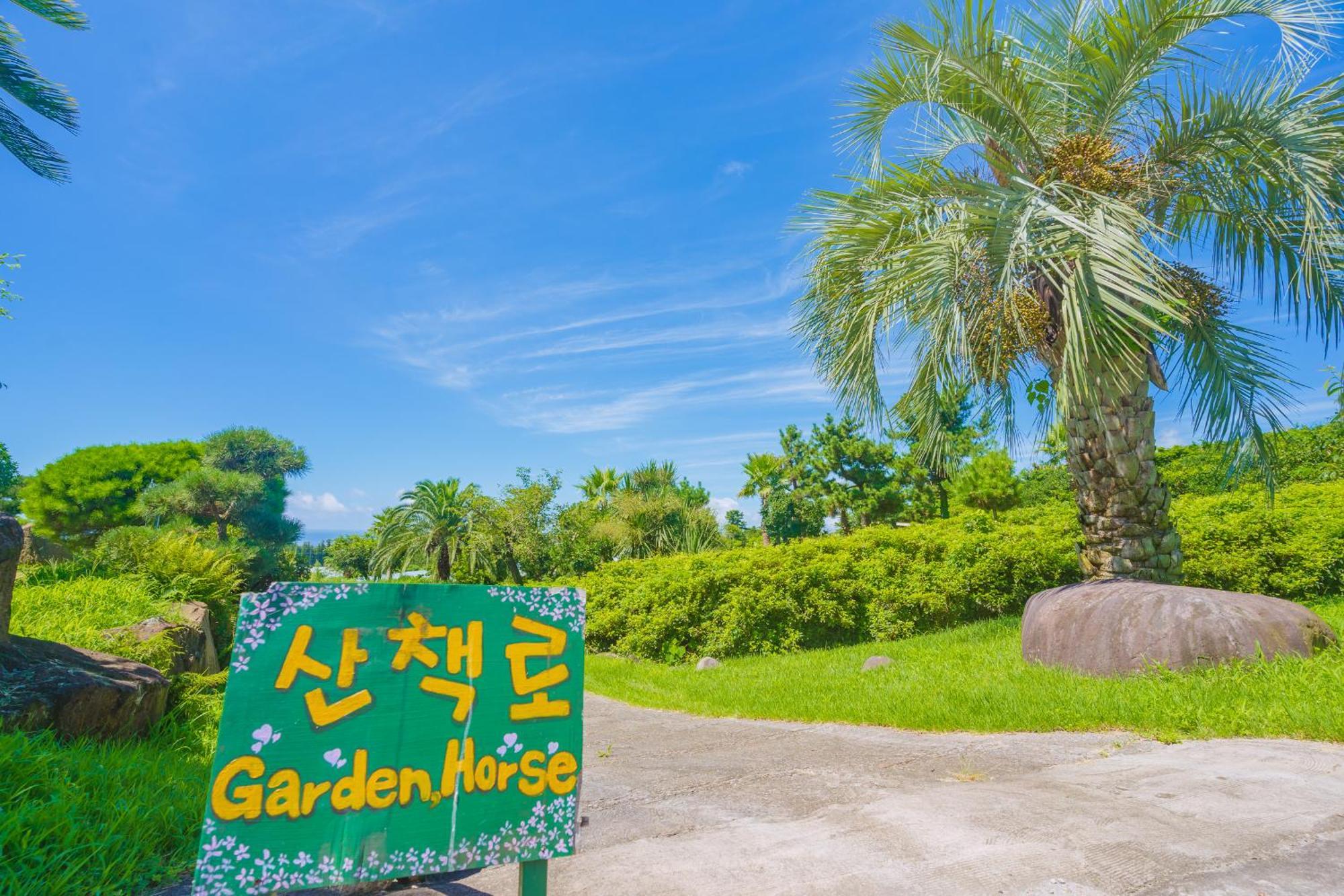 Jungmun Log Pension & Resort Согвіпо Екстер'єр фото