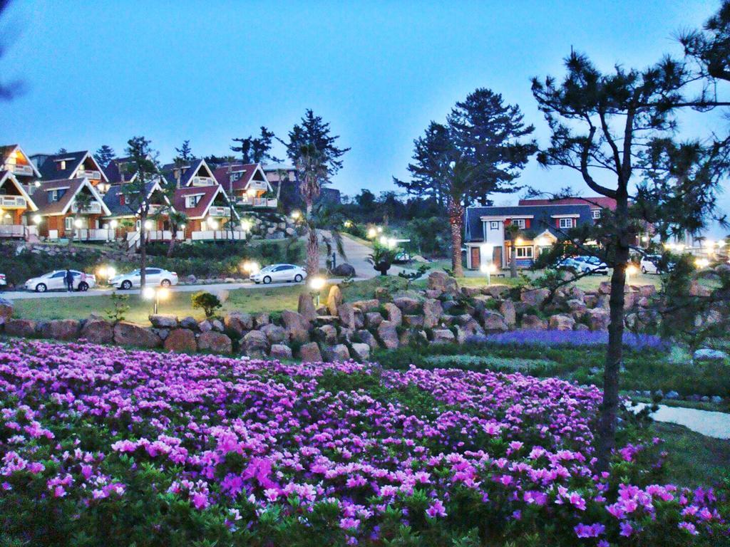 Jungmun Log Pension & Resort Согвіпо Екстер'єр фото