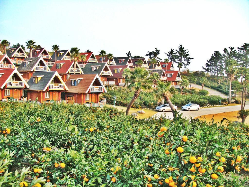 Jungmun Log Pension & Resort Согвіпо Екстер'єр фото