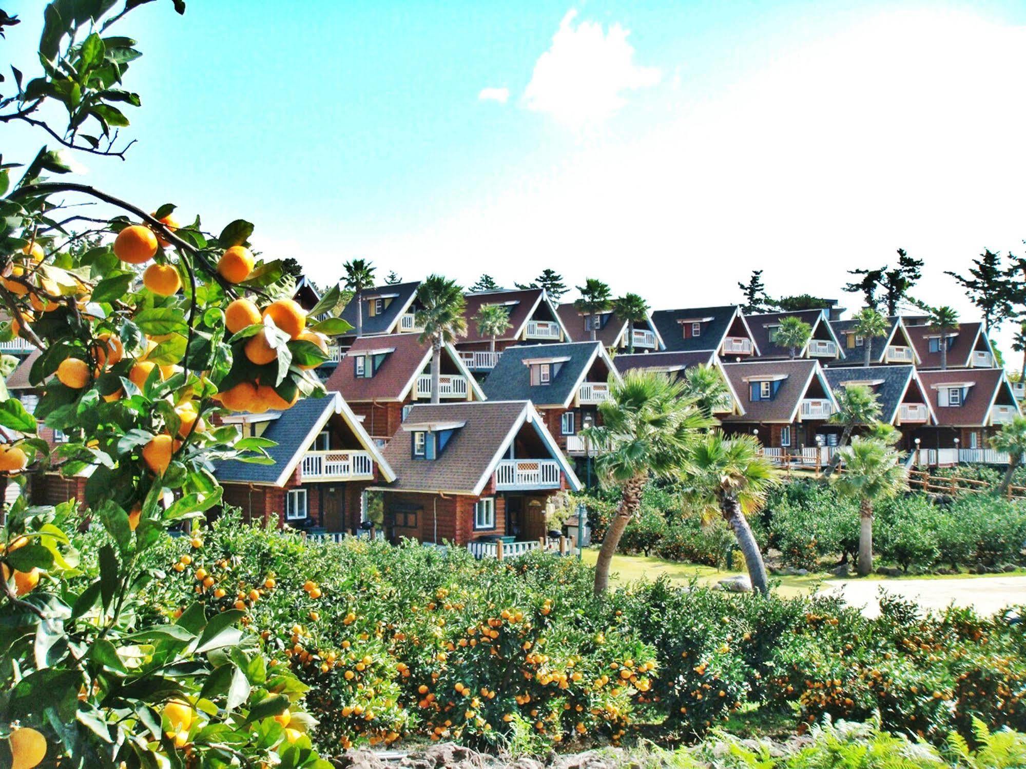 Jungmun Log Pension & Resort Согвіпо Екстер'єр фото